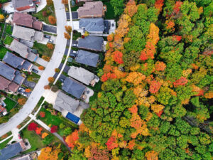 leaves turning color in a suburban community