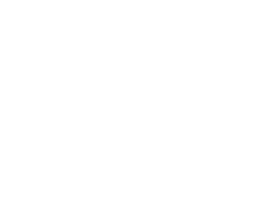 ClientScrollerLogo_The-Niagara-Parks-Commission