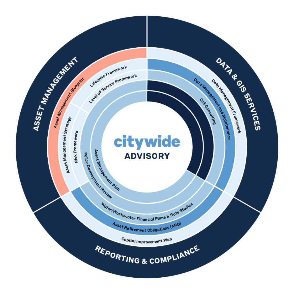 Wheel diagram outlining Citywide Advisory Services.